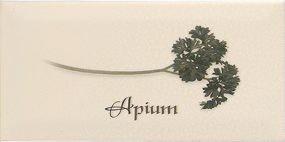 Ape Ceramica Biselado Decor Crema Apium Декор Ape Ceramica Biselado Decor Crema Apium Декор