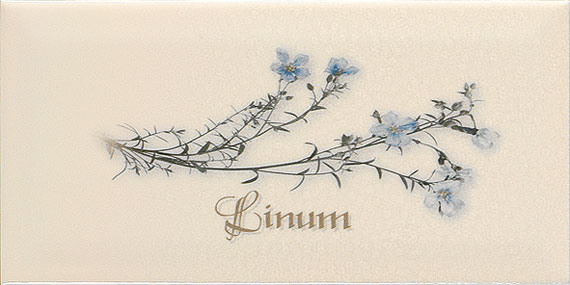 Ape Ceramica Biselado Decor Crema Linum Декор Ape Ceramica Biselado Decor Crema Linum Декор