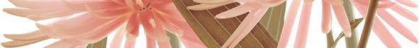 Ape Ceramica Elegance Euphoria Crema Декор Ape Ceramica Elegance Euphoria Crema Декор