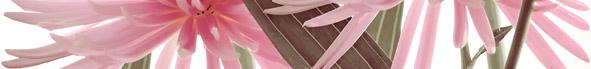 Ape Ceramica Elegance Euphoria Perla Декор Ape Ceramica Elegance Euphoria Perla Декор