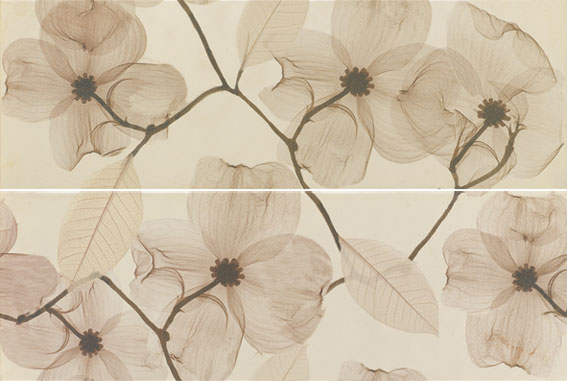 Ape Ceramica Home Decor Set Moira Beige Панно Ape Ceramica Home Decor Set Moira Beige Панно
