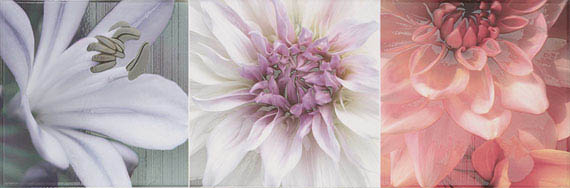Ape Ceramica Ligne Fun II Декор Ape Ceramica Ligne Fun II Декор