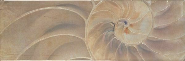 Ape Ceramica Montecarlo Decor Cana 1 Декор Ape Ceramica Montecarlo Decor Cana 1 Декор