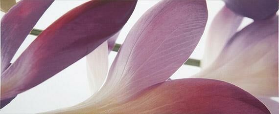 Ape Ceramica Pure Decor Purple Декор Ape Ceramica Pure Decor Purple Декор